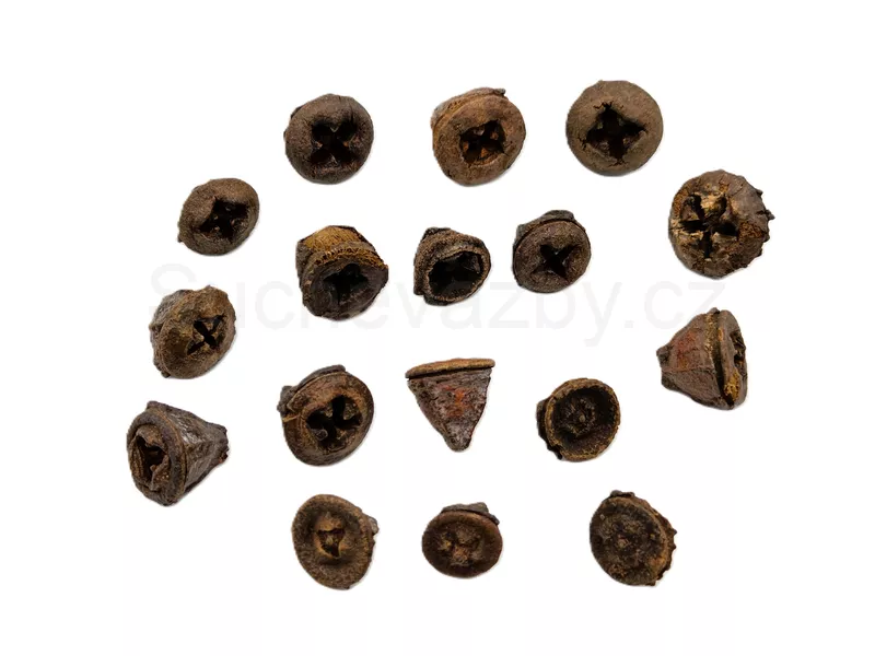 Eucalyptus button loose natural 10ks
