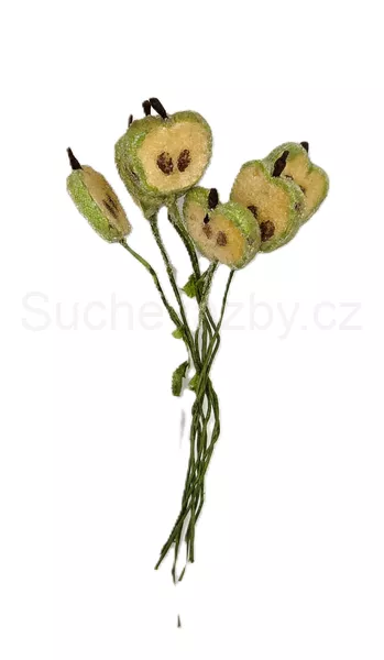 Jablko na drátku plátek ledový 2cm