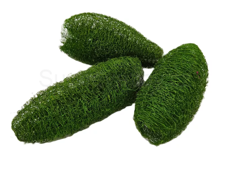 Luffa loose barvená 