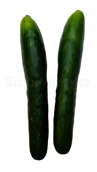 Okurka umělá 24cm