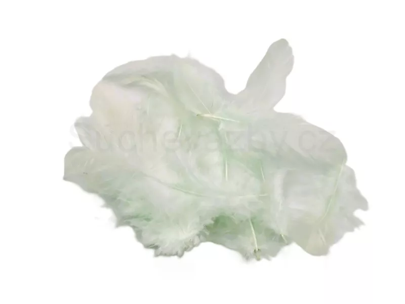 Peří barevné zelené 15ks  