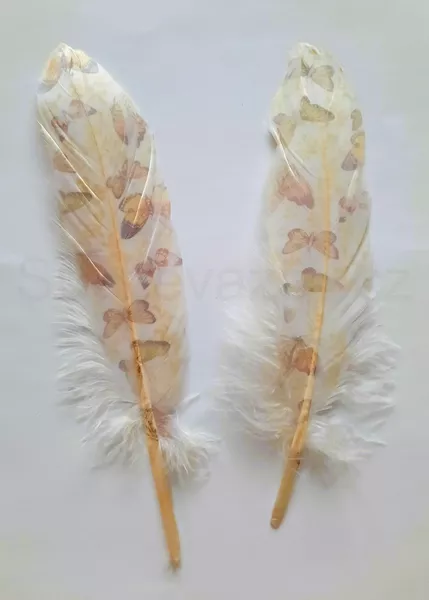 Peří s potiskem 18-20cm