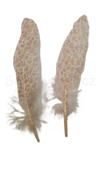 Peří s potiskem srdce 16-20cm