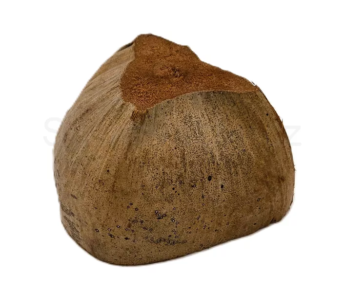 Půlka kokosu